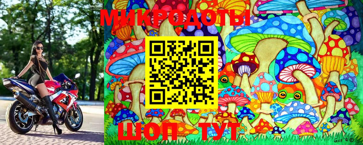 Псилоцибиновые грибы Cubensis  Вход с VPN  Выборг 