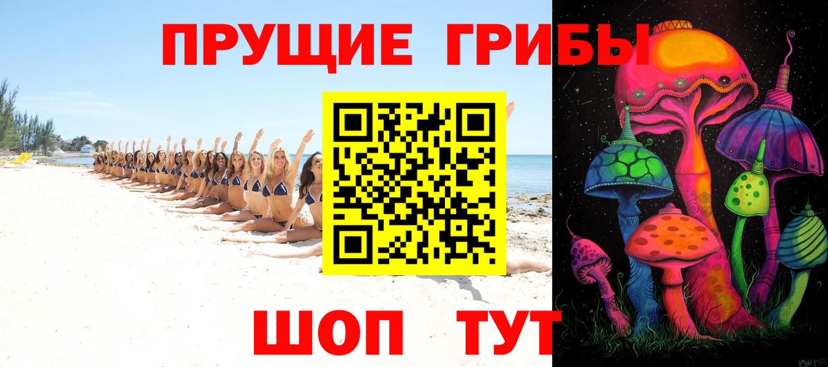 Псилоцибиновые грибы мухоморы Выборг